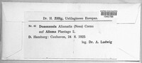 Doassansia alismatis image